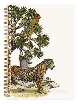 Carnet à spirale Deyrolle x...