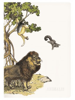 Carnet Deyrolle x...