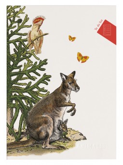 Bloc to do list Deyrolle x...