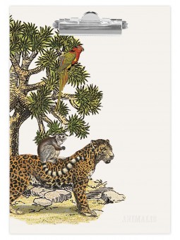 Porte-bloc Deyrolle x...