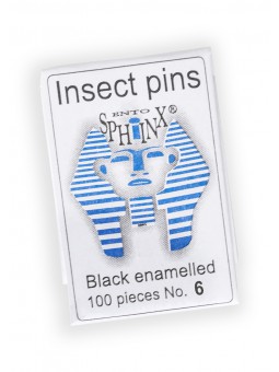 Epingles entomologiques 6