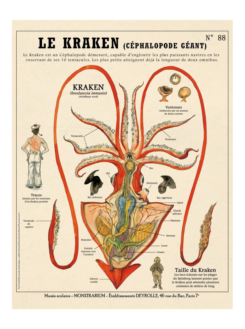 La sirène, Créatures Fantastiques