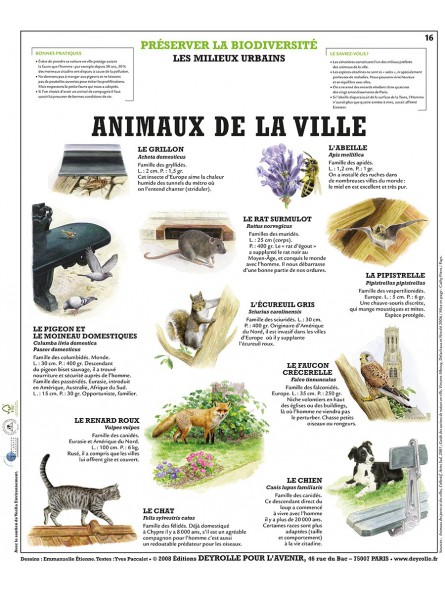 Les animaux de la ville