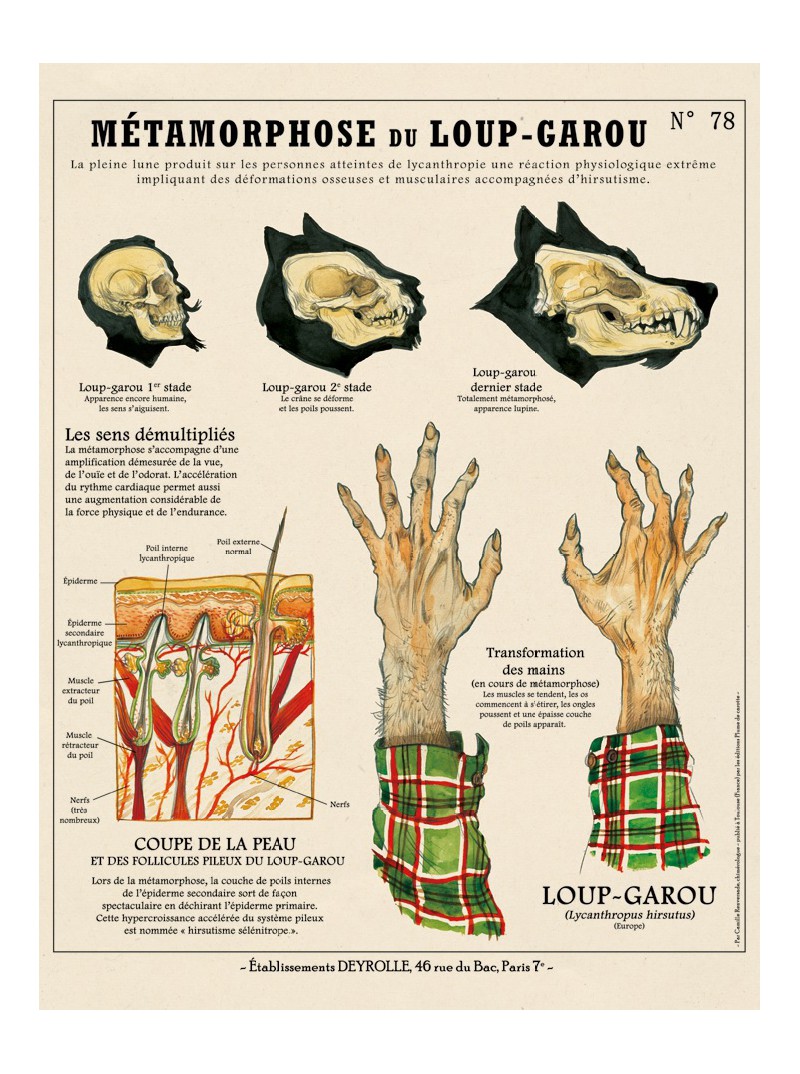 La Métamorphose du Loup Garou