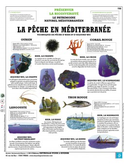 La pêche en Méditerranée