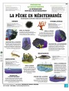 La pêche en Méditerranée