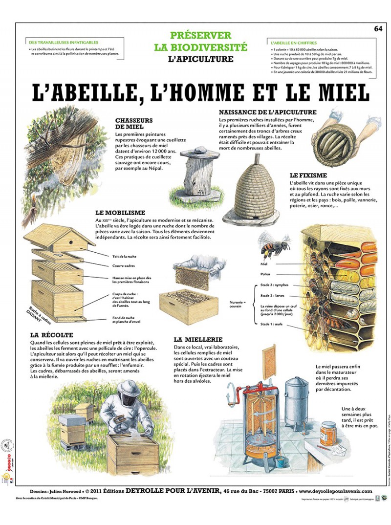 Fleurs en péril dans le monde