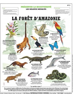 L'Abeille, l'Homme et le Miel 