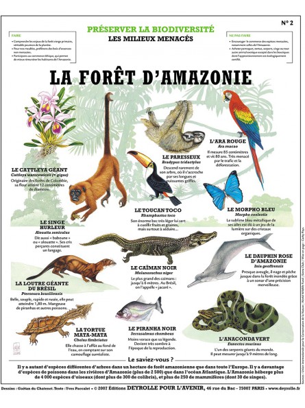 L'Abeille, l'Homme et le Miel 