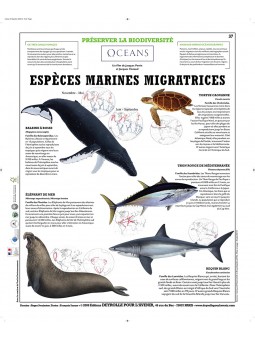 La Forêt d'Amazonie