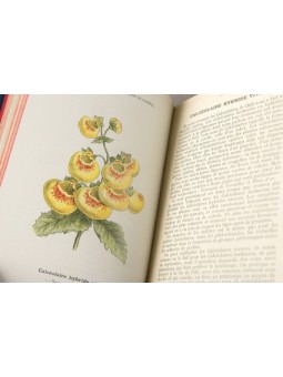 Nouvel Atlas de poche des Champignons