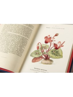 Nouvel Atlas de poche des Champignons