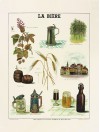 La bière
