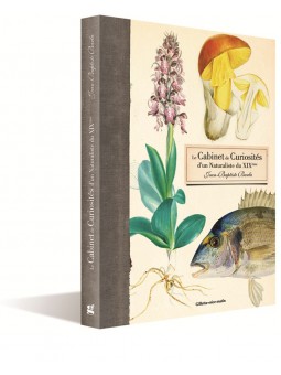 Le cabinet de curiosités d'un naturaliste du 19ème's