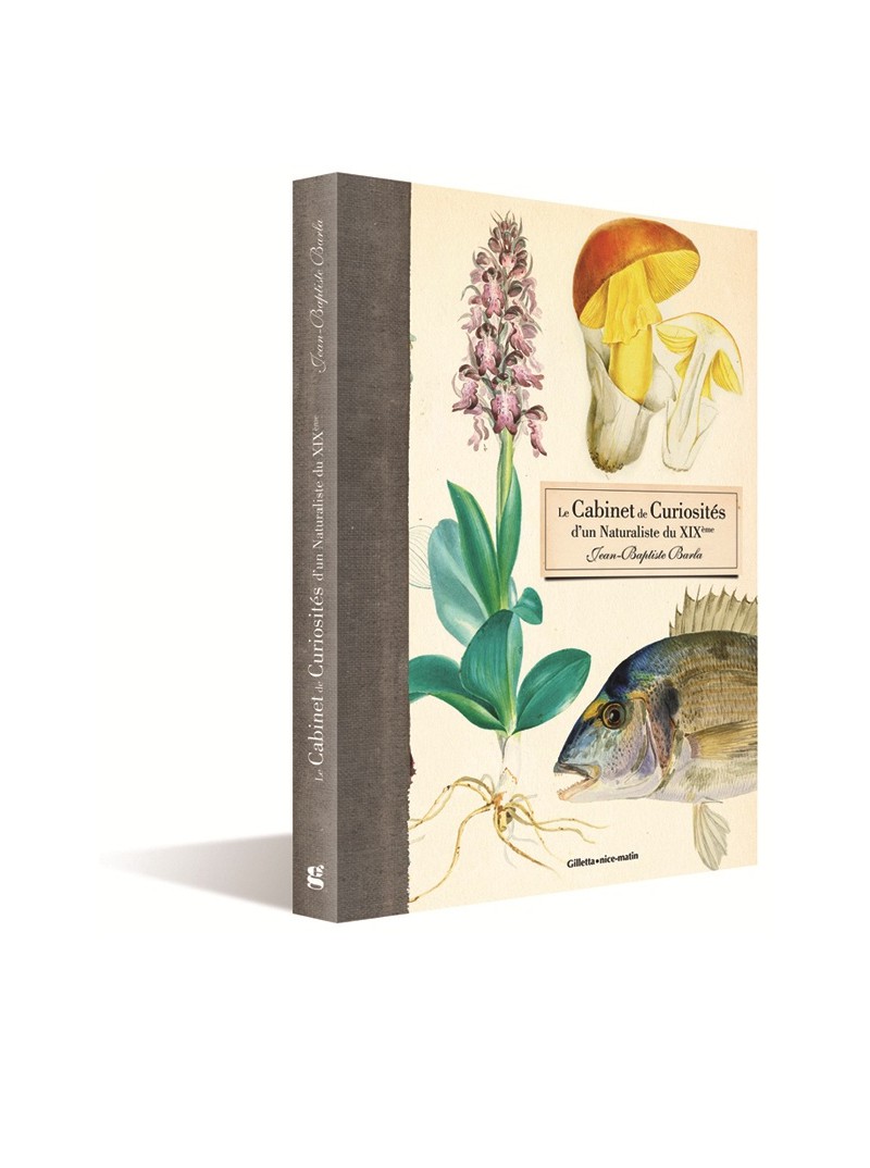 Le cabinet de curiosités d'un naturaliste du 19ème's