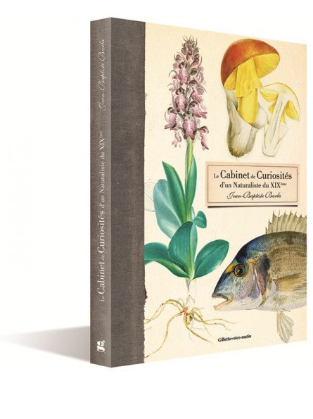Le cabinet de curiosités d'un naturaliste du 19ème's