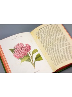 Atlas de poches des Arbustes et arbrisseaux