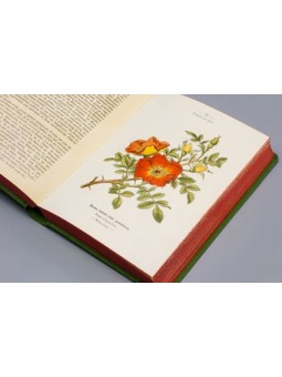 Atlas de poches des Arbustes et arbrisseaux