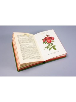 Atlas de poches des Arbustes et arbrisseaux