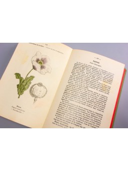 Atlas de poches des plantes médicinales