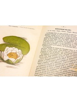 Atlas de poches des plantes médicinales