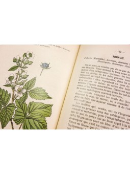 Atlas de poches des plantes médicinales