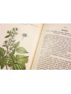 Atlas de poches des plantes médicinales