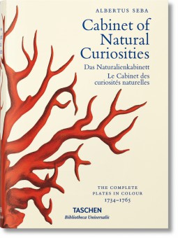le cabinet des curiosités naturelles