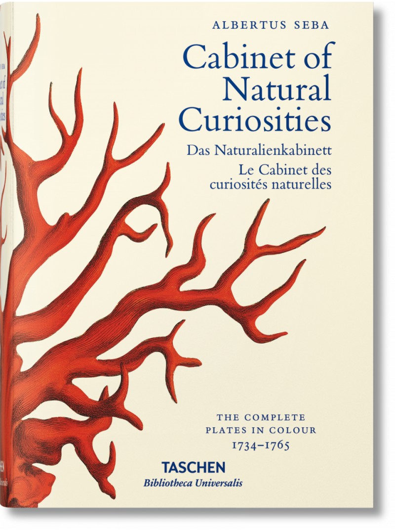 le cabinet des curiosités naturelles