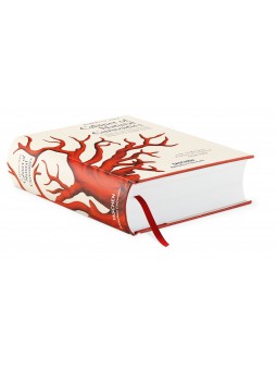 le cabinet des curiosités naturelles