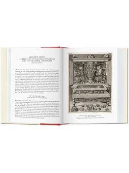 le cabinet des curiosités naturelles