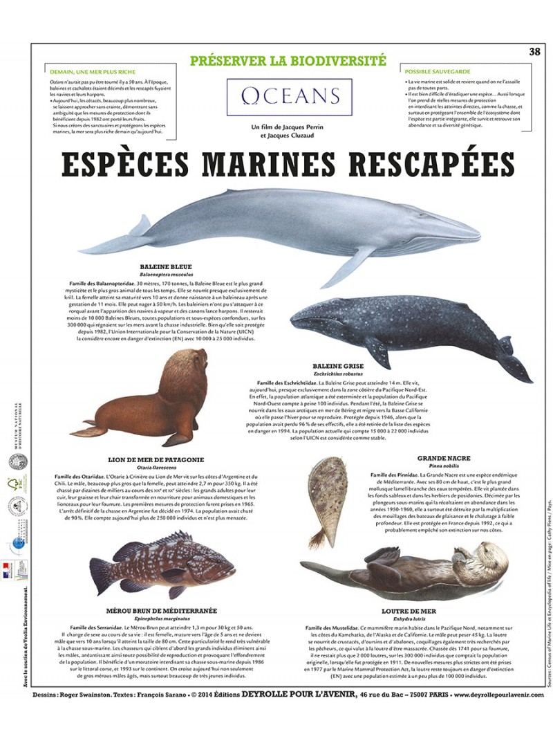 La grande barrière d'Australie 