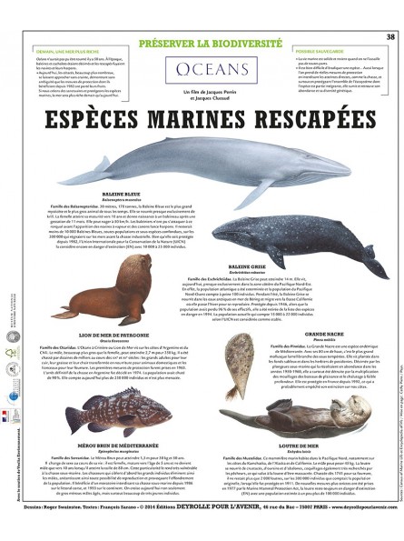 La grande barrière d'Australie 