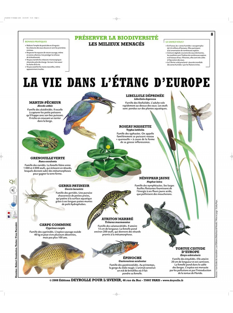 Biodiversité et stockage des déchets