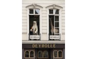 Deyrolle